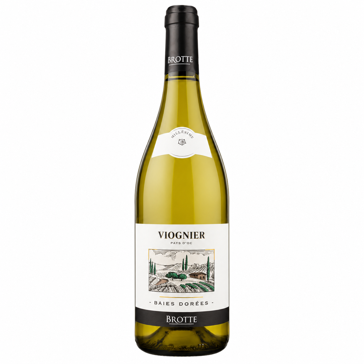 Brotte Viognier Baies Dorées 2025