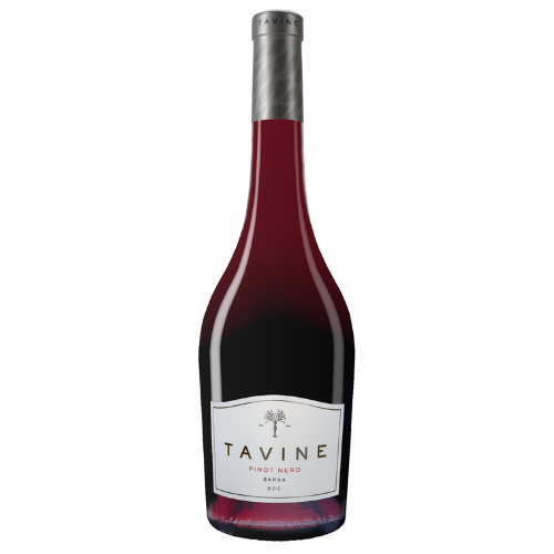 Tavine Pinot Nero 2023